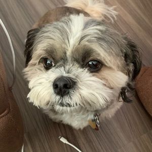 Meet your Posher, Thomas